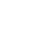 Criminal Risk Prevention & Defense